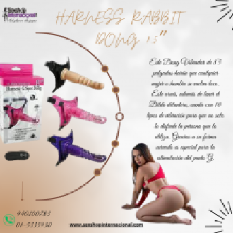 HARNESS RABBIT DONG 8.5